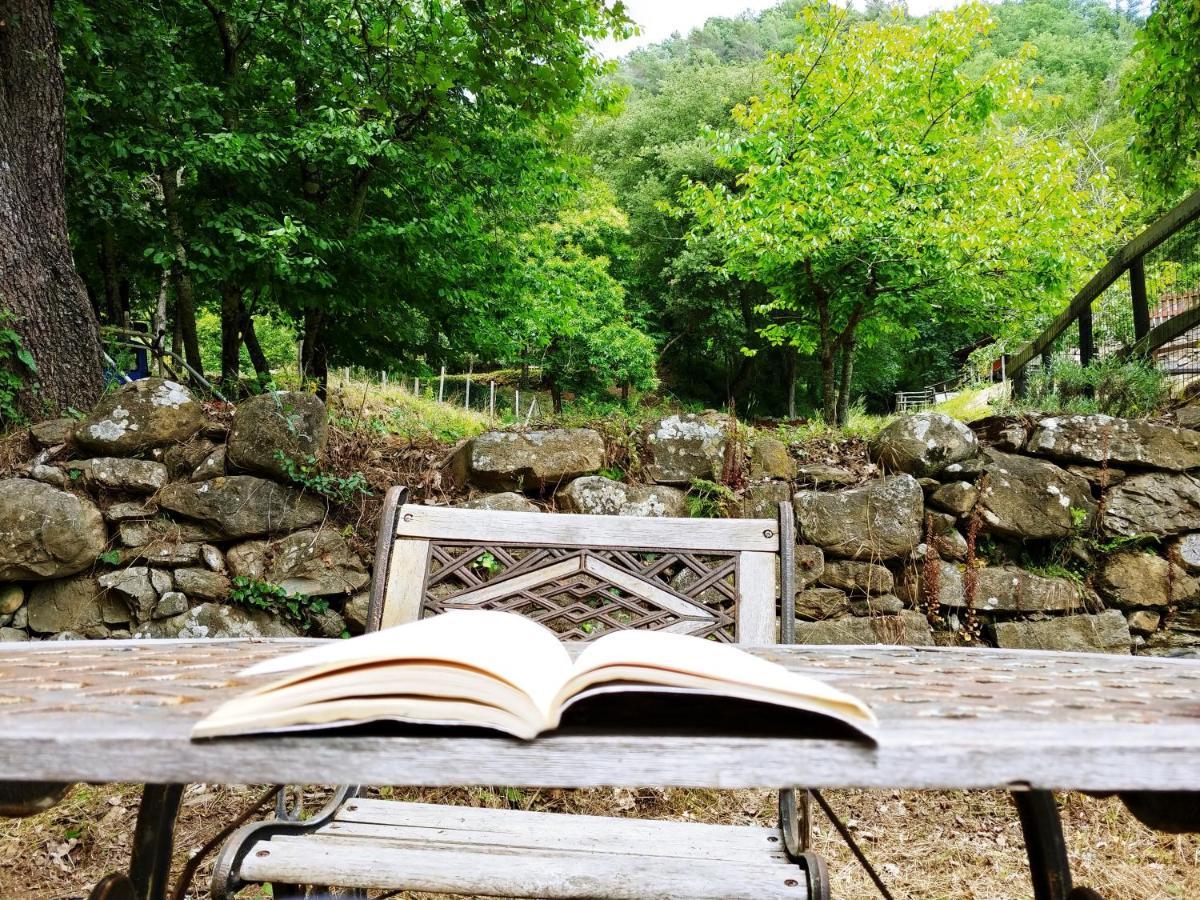 Hotel Agricamping Ponteraggio N.1 à Dolceacqua Extérieur photo