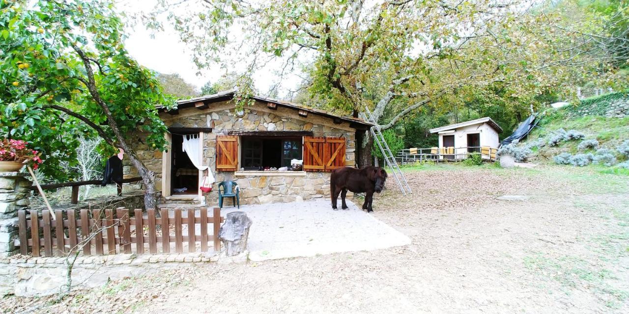 Hotel Agricamping Ponteraggio N.1 à Dolceacqua Extérieur photo